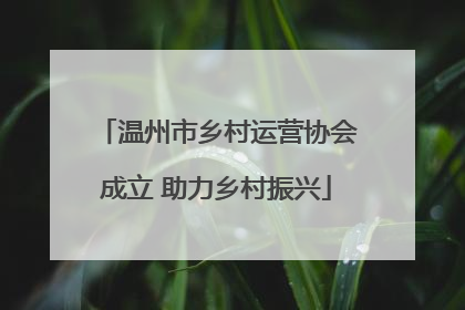 温州市乡村运营协会成立 助力乡村振兴