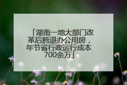 湖南一地大部门改革后腾退办公用房，年节省行政运行成本700余万