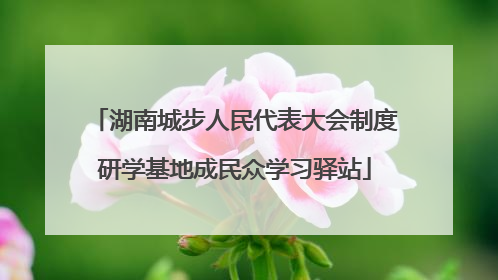 湖南城步人民代表大会制度研学基地成民众学习驿站