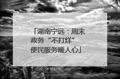 湖南宁远：周末政务“不打烊” 便民服务暖人心