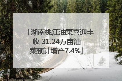 湖南桃江油菜喜迎丰收 31.24万亩油菜预计增产7.4%