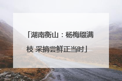 湖南衡山：杨梅缀满枝 采摘尝鲜正当时