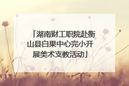 湖南财工职院赴衡山县白果中心完小开展美术支教活动