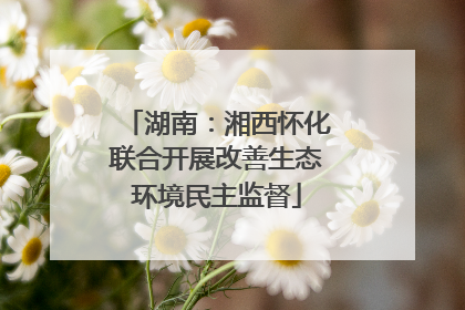 湖南：湘西怀化联合开展改善生态环境民主监督