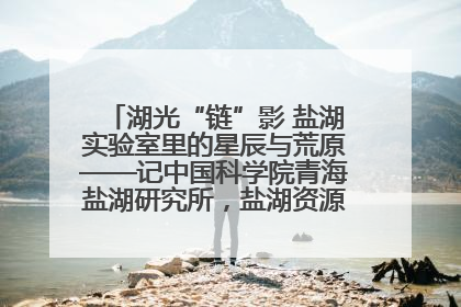 湖光“链”影 盐湖实验室里的星辰与荒原——记中国科学院青海盐湖研究所，盐湖资源化学实验室党总支书记、副主任刘忠