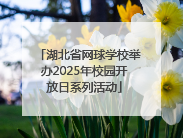 湖北省网球学校举办2025年校园开放日系列活动