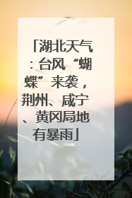 湖北天气：台风“蝴蝶”来袭，荆州、咸宁、黄冈局地有暴雨
