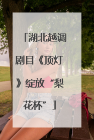 湖北越调剧目《顶灯》绽放“梨花杯”