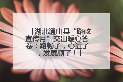 湖北通山县“路政宣传月”交出暖心答卷：路畅了，心近了，发展顺了！