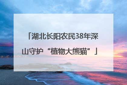 湖北长阳农民38年深山守护“植物大熊猫”