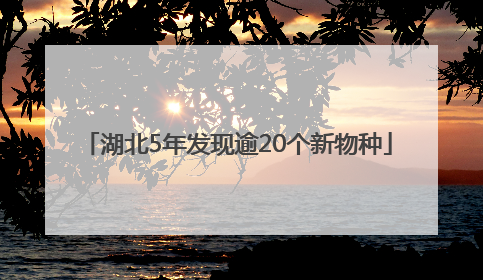 湖北5年发现逾20个新物种