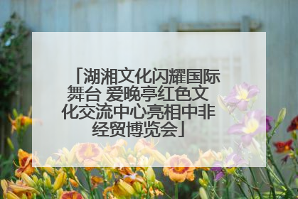 湖湘文化闪耀国际舞台 爱晚亭红色文化交流中心亮相中非经贸博览会
