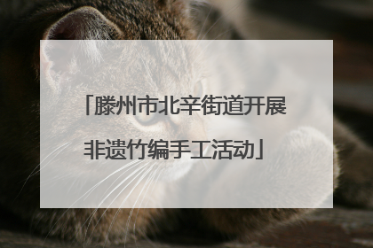 滕州市北辛街道开展非遗竹编手工活动