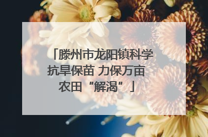 滕州市龙阳镇科学抗旱保苗 力保万亩农田“解渴”
