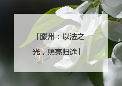 滕州：以法之光，照亮归途