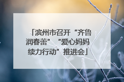 滨州市召开“齐鲁润春蕾”“爱心妈妈续力行动”推进会