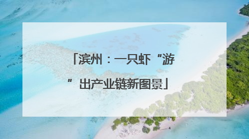 滨州：一只虾“游”出产业链新图景