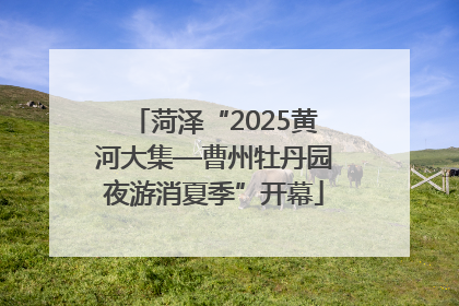 菏泽“2025黄河大集—曹州牡丹园夜游消夏季”开幕