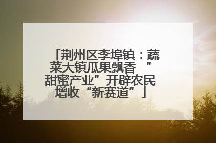 荆州区李埠镇：蔬菜大镇瓜果飘香 “甜蜜产业”开辟农民增收“新赛道”