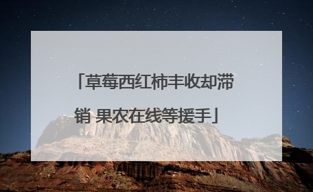 草莓西红柿丰收却滞销 果农在线等援手
