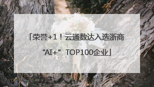 荣誉+1！云通数达入选浙商“AI+”TOP100企业