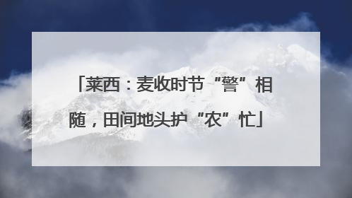莱西：麦收时节“警”相随，田间地头护“农”忙