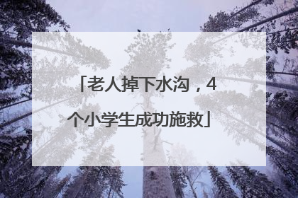 老人掉下水沟，4个小学生成功施救