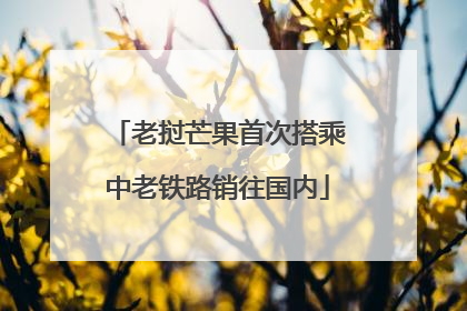 老挝芒果首次搭乘中老铁路销往国内