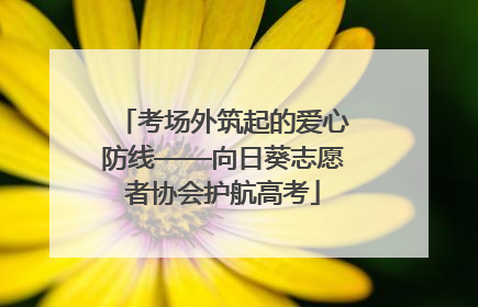 考场外筑起的爱心防线——向日葵志愿者协会护航高考