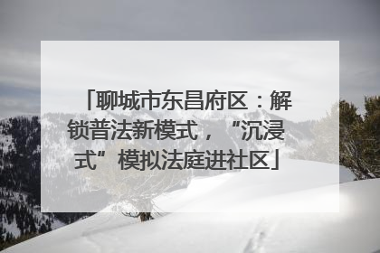 聊城市东昌府区：解锁普法新模式，“沉浸式”模拟法庭进社区