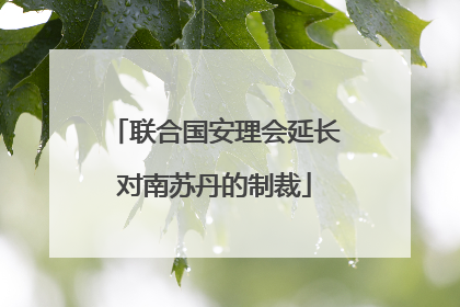 联合国安理会延长对南苏丹的制裁