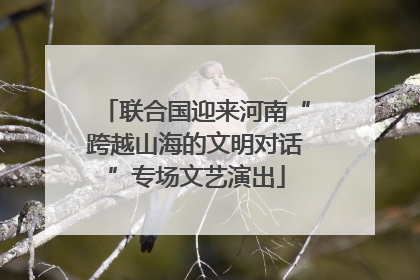联合国迎来河南“跨越山海的文明对话”专场文艺演出