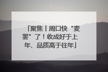 聚焦丨周口快“麦罢”了！收成好于上年、品质高于往年