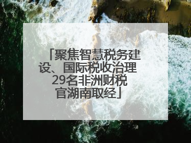 聚焦智慧税务建设、国际税收治理 29名非洲财税官湖南取经