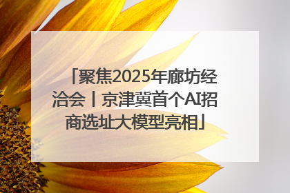 聚焦2025年廊坊经洽会丨京津冀首个AI招商选址大模型亮相