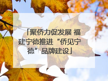 聚侨力促发展 福建宁德推进“侨见宁德”品牌建设