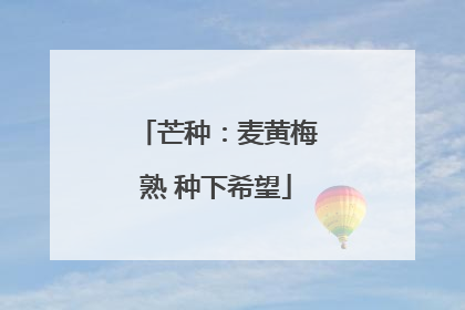 芒种：麦黄梅熟 种下希望
