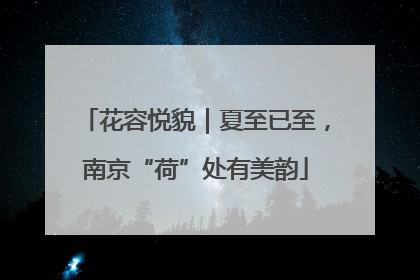 花容悦貌｜夏至已至，南京“荷”处有美韵