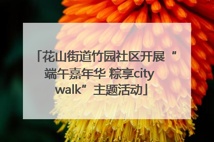 花山街道竹园社区开展“端午嘉年华 粽享city walk”主题活动