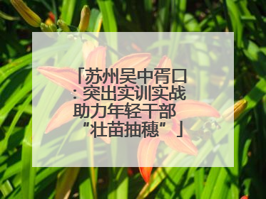苏州吴中胥口：突出实训实战 助力年轻干部“壮苗抽穗”