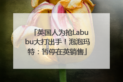 英国人为抢Labubu大打出手！泡泡玛特：暂停在英销售