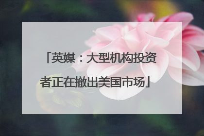 英媒：大型机构投资者正在撤出美国市场