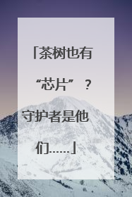 茶树也有“芯片”？守护者是他们……