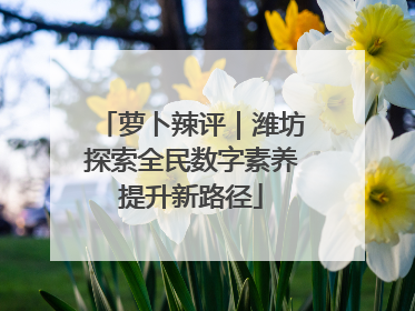 萝卜辣评｜潍坊探索全民数字素养提升新路径