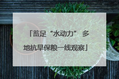 蓄足“水动力” 多地抗旱保粮一线观察