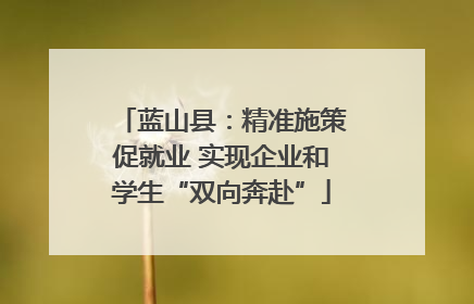 蓝山县：精准施策促就业 实现企业和学生“双向奔赴”