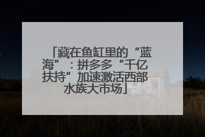 藏在鱼缸里的“蓝海”：拼多多“千亿扶持”加速激活西部水族大市场