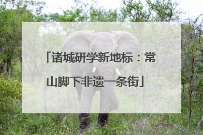 诸城研学新地标：常山脚下非遗一条街