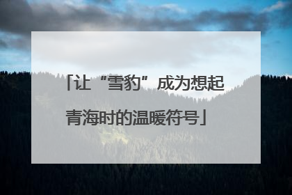 让“雪豹”成为想起青海时的温暖符号
