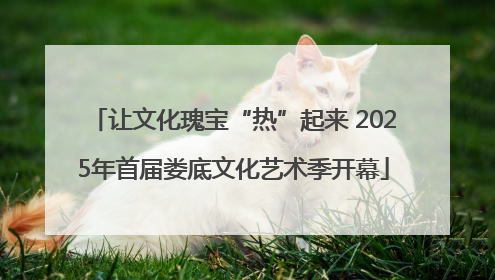 让文化瑰宝“热”起来 2025年首届娄底文化艺术季开幕